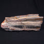 Stromatolite from the Jerrinah Formation ZJF005