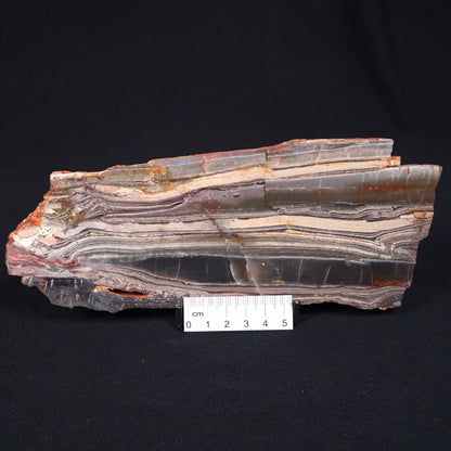 Stromatolite from the Jerrinah Formation ZJF005