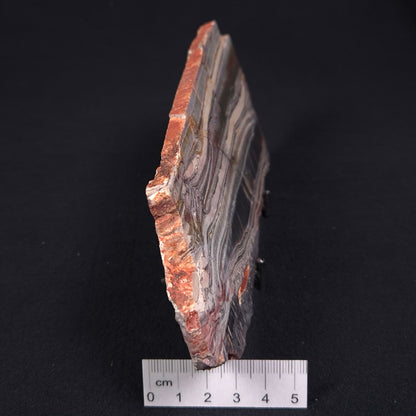 Stromatolite from the Jerrinah Formation ZJF005