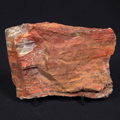 Stromatolite from the Jerrinah Formation ZJF006