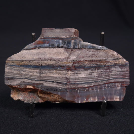 Stromatolite from the Jerrinah Formation ZJF007