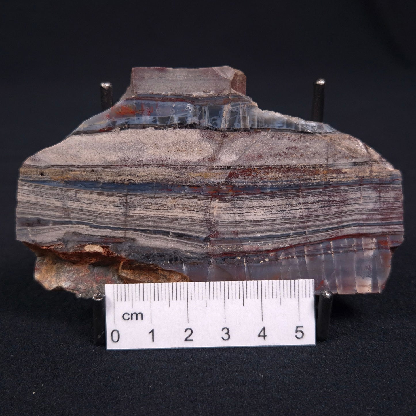 Stromatolite from the Jerrinah Formation ZJF007