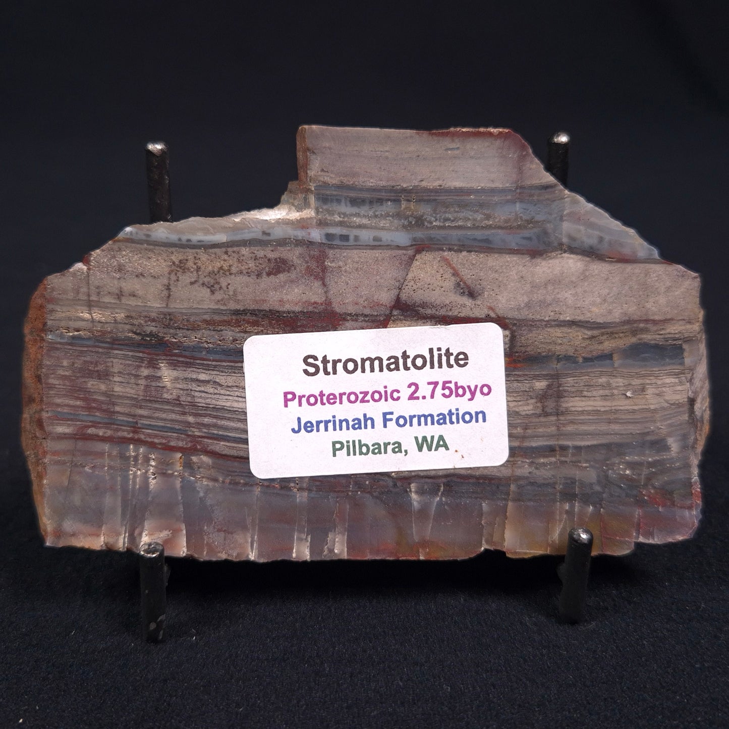 Stromatolite from the Jerrinah Formation ZJF007