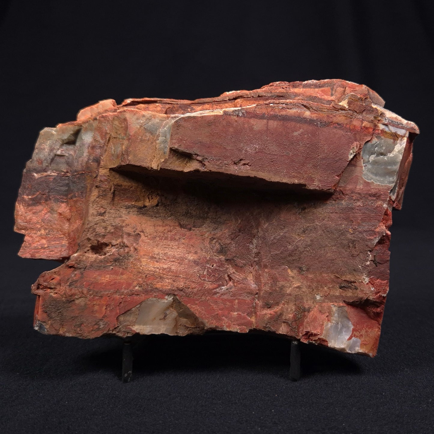 Stromatolite from the Jerrinah Formation ZJF009