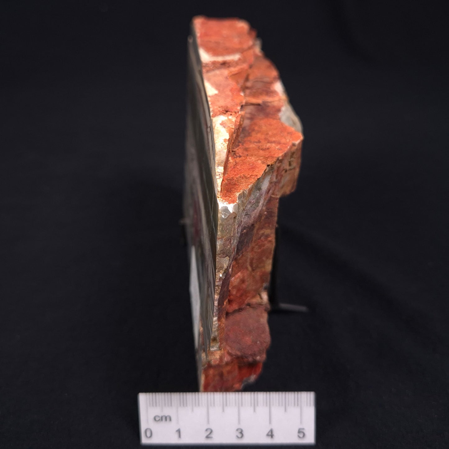 Stromatolite from the Jerrinah Formation ZJF009