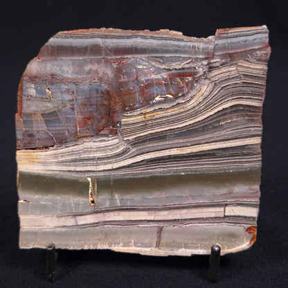 Stromatolite from the Jerrinah Formation ZJF011