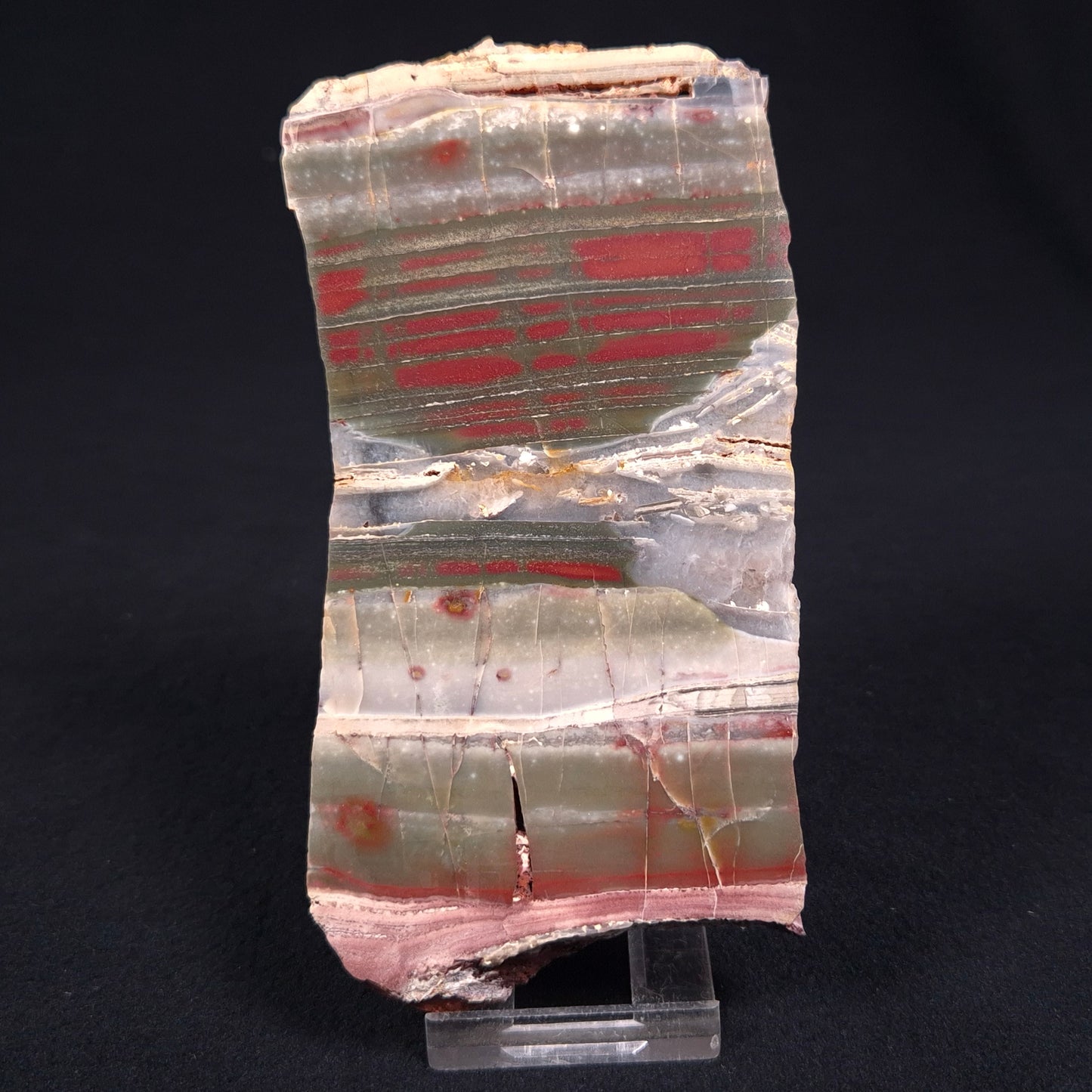 Stromatolite from the Jerrinah Formation ZJF012