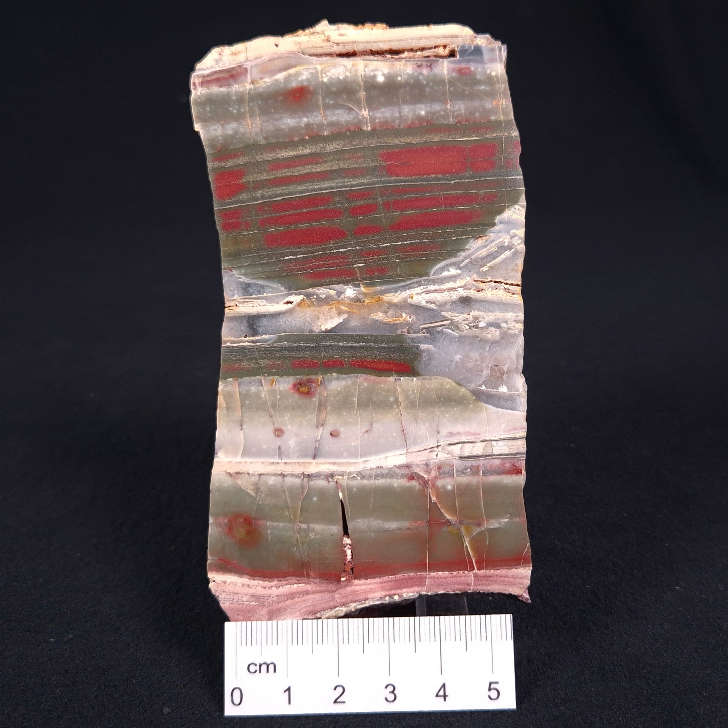 Stromatolite from the Jerrinah Formation ZJF012