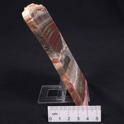 Stromatolite from the Jerrinah Formation ZJF012