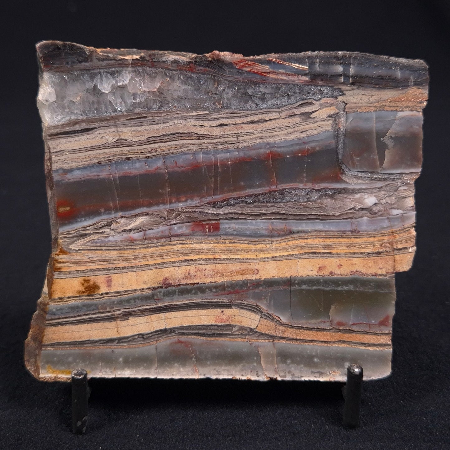 Stromatolite from the Jerrinah Formation ZJF013