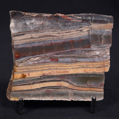 Stromatolite from the Jerrinah Formation ZJF013