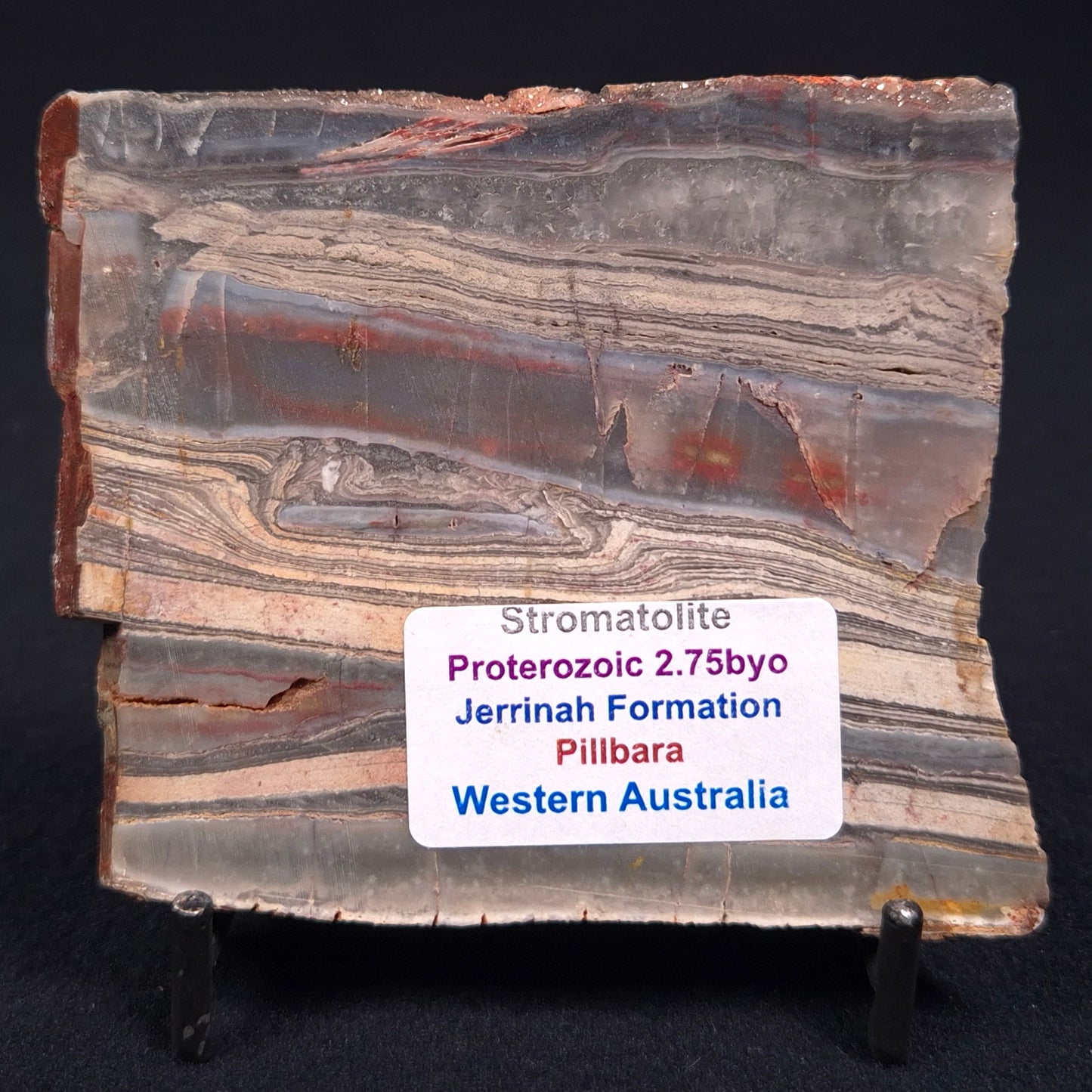 Stromatolite from the Jerrinah Formation ZJF013