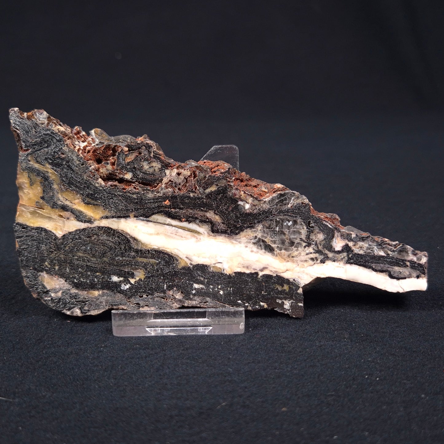 Stromatolite Microbial Mat from the Dresser Formation ZDF002