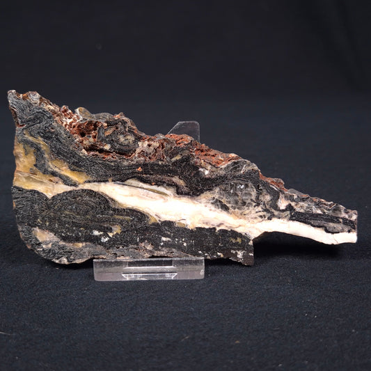 Stromatolite Microbial Mat from the Dresser Formation ZDF002