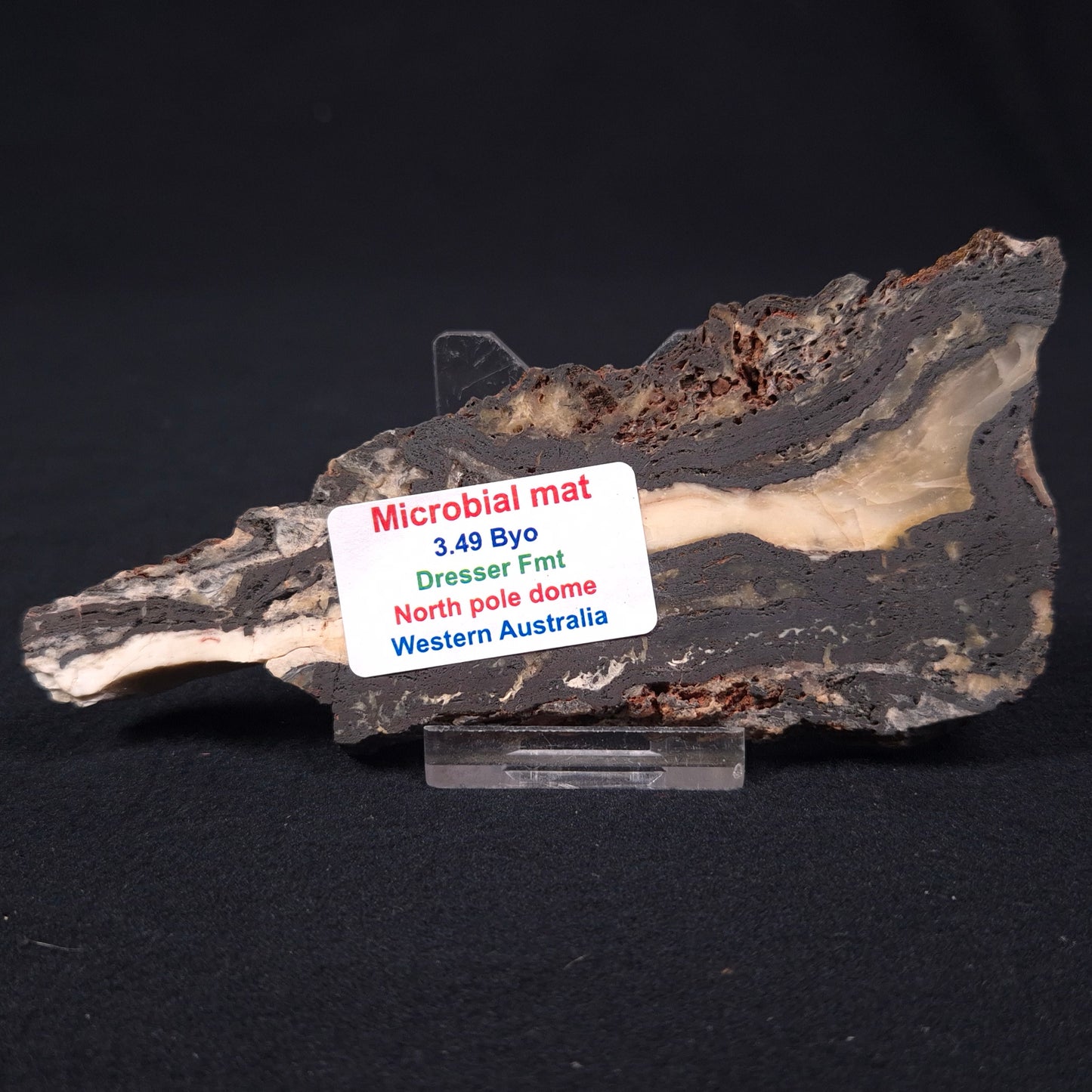 Stromatolite Microbial Mat from the Dresser Formation ZDF002