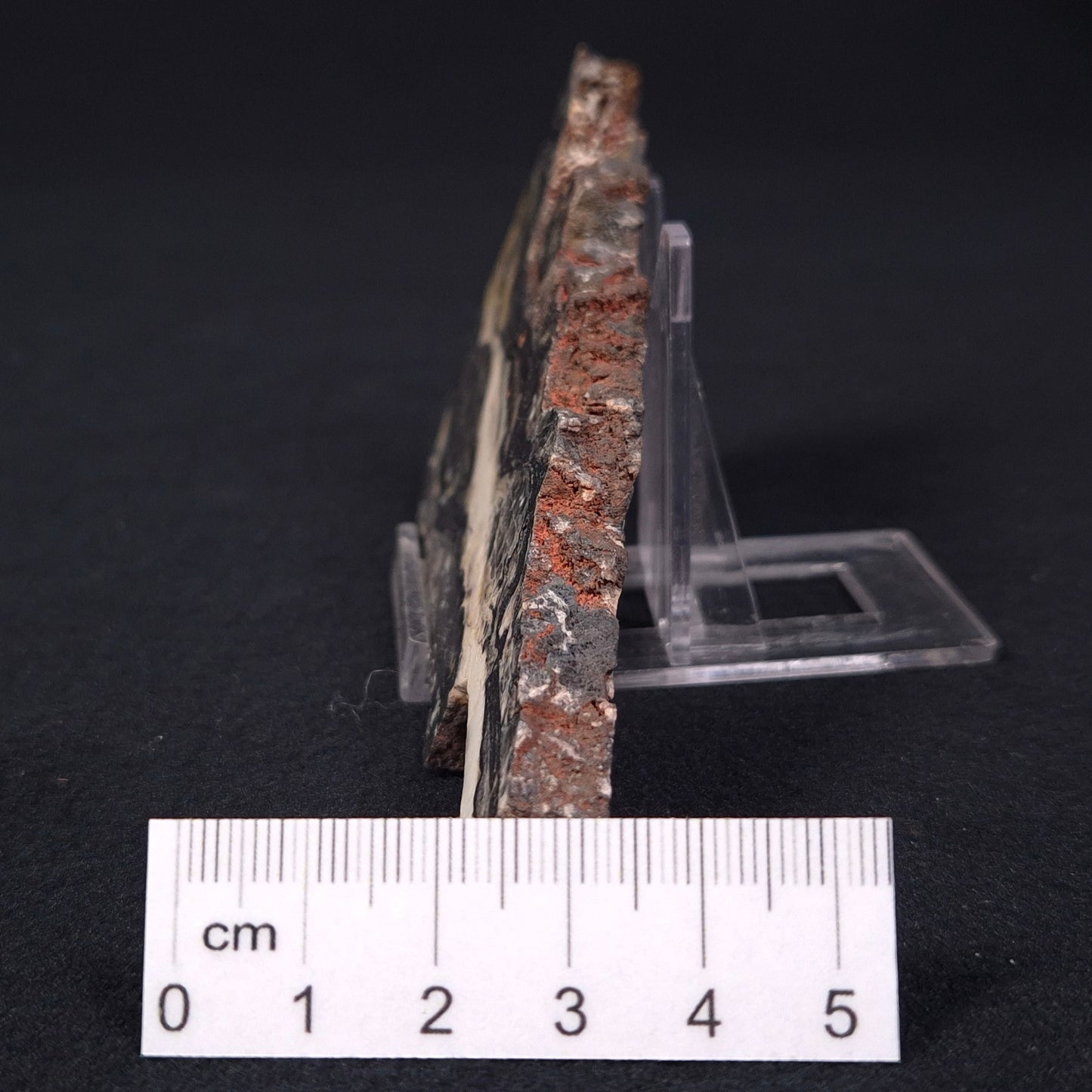 Stromatolite Microbial Mat from the Dresser Formation ZDF002