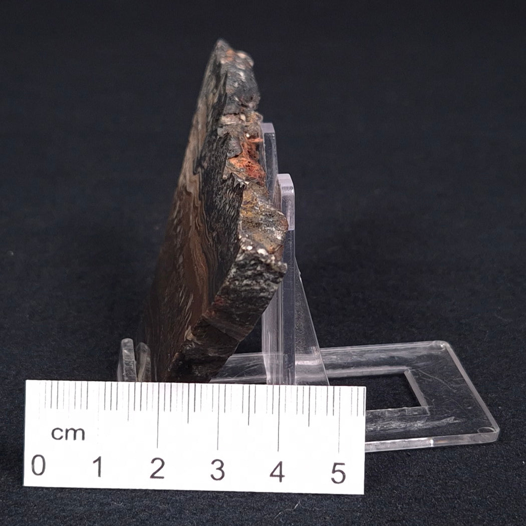 Stromatolite Microbial Mat from the Dresser Formation ZDF001