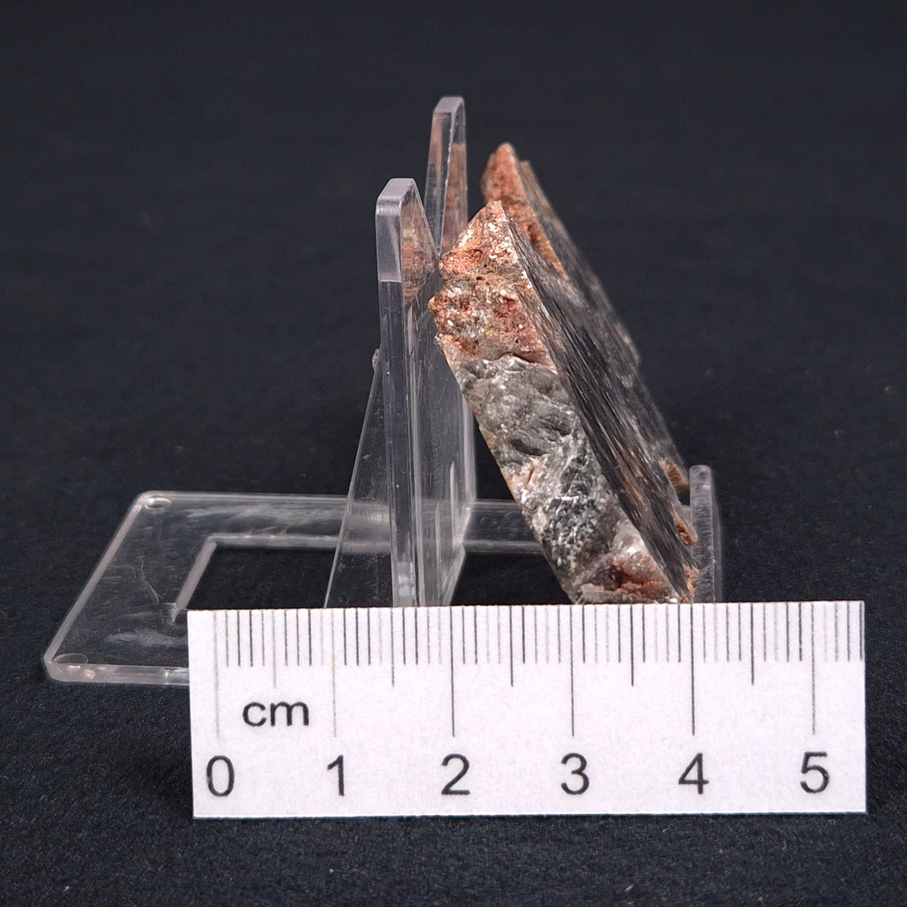 Stromatolite Microbial Mat from the Dresser Formation ZDF006