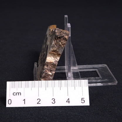 Stromatolite Microbial Mat from the Dresser Formation ZDF007