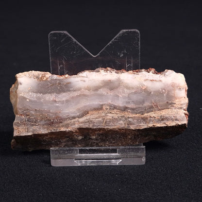 Stromatolite Microbial Mat from the Dresser Formation ZDF008