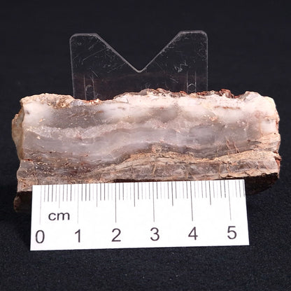 Stromatolite Microbial Mat from the Dresser Formation ZDF008