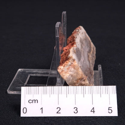 Stromatolite Microbial Mat from the Dresser Formation ZDF008