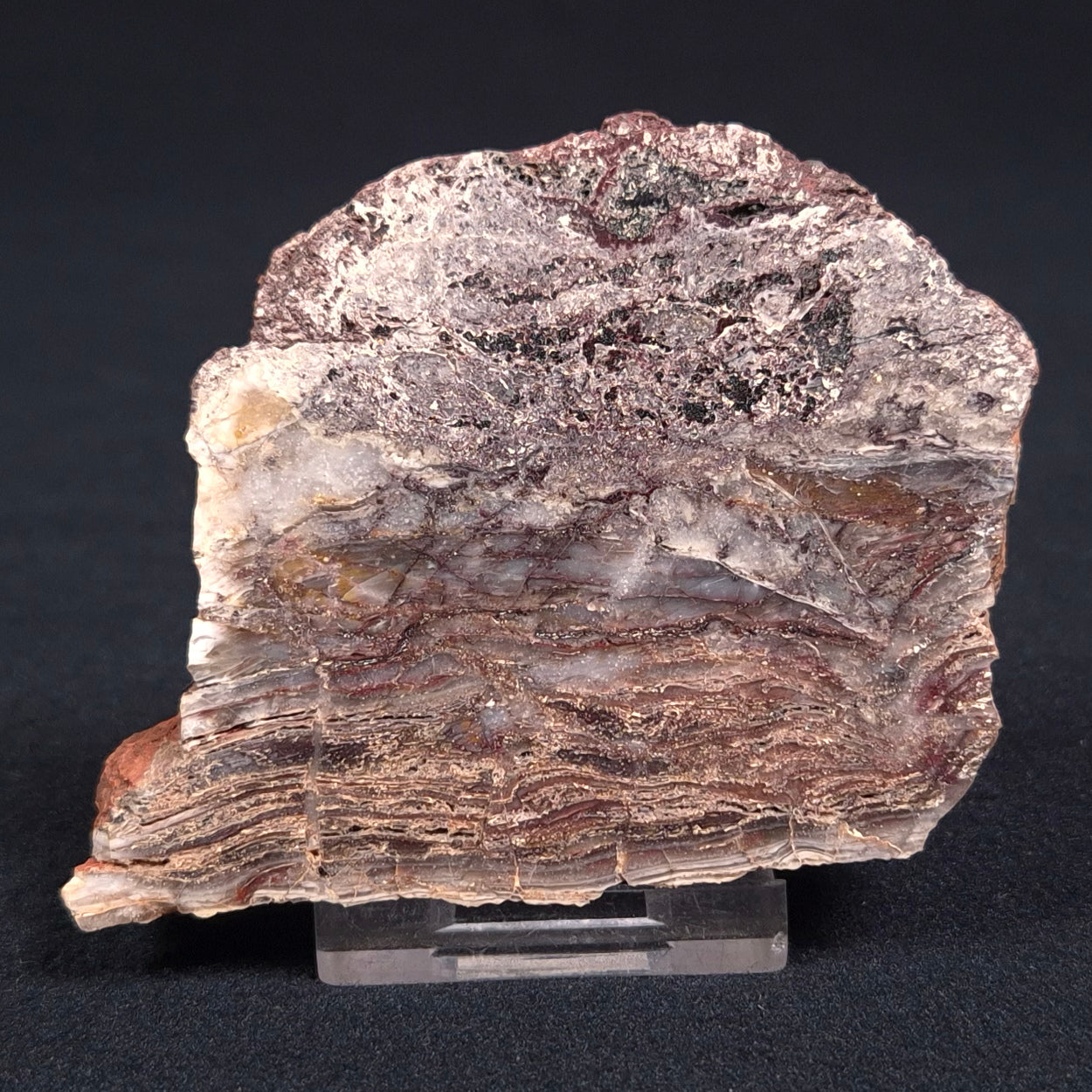 Stromatolite Microbial Mat from the Dresser Formation ZDF009