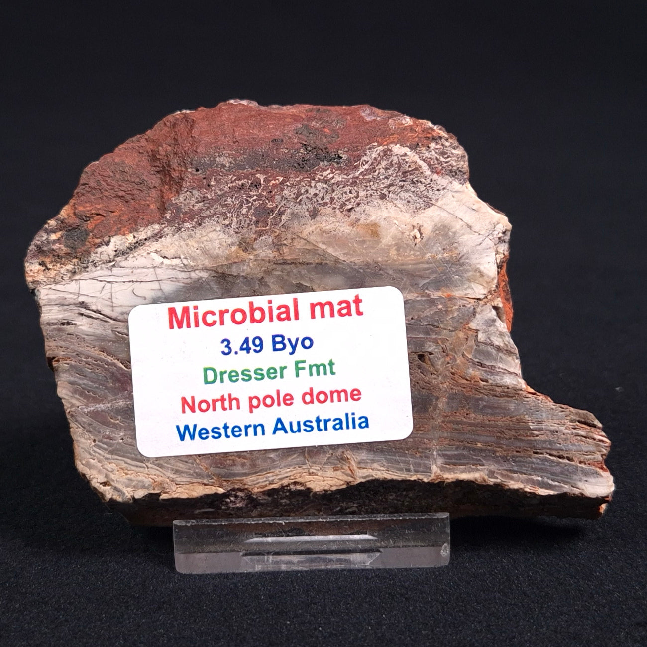 Stromatolite Microbial Mat from the Dresser Formation ZDF009