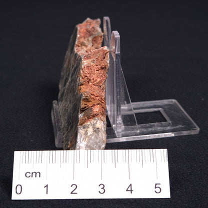 Stromatolite Microbial Mat from the Dresser Formation ZDF010