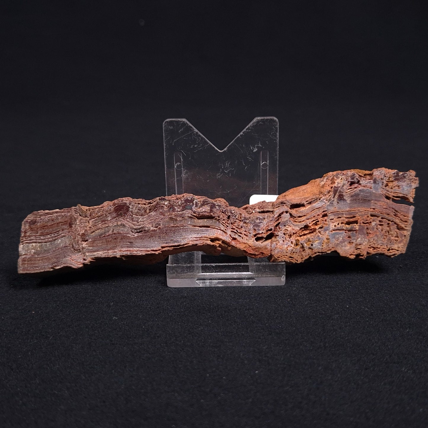 Stromatolite Microbial Mat from the Dresser Formation ZDF011