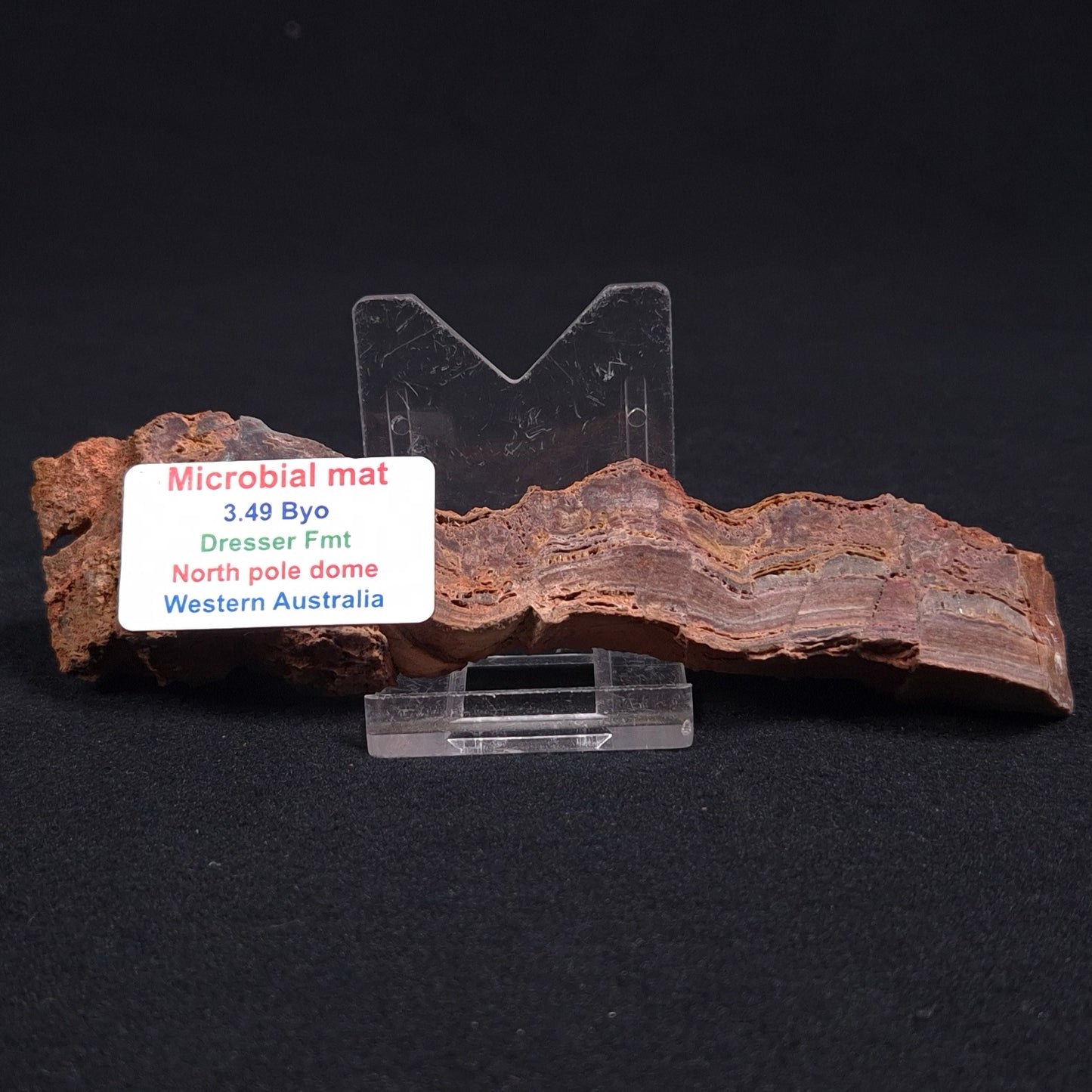 Stromatolite Microbial Mat from the Dresser Formation ZDF011