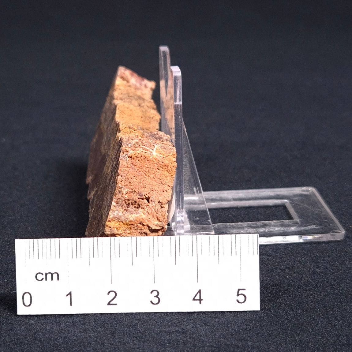 Stromatolite Microbial Mat from the Dresser Formation ZDF012