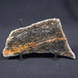 Acasta Gneiss "Oldest Rock" from Canada ZAG001