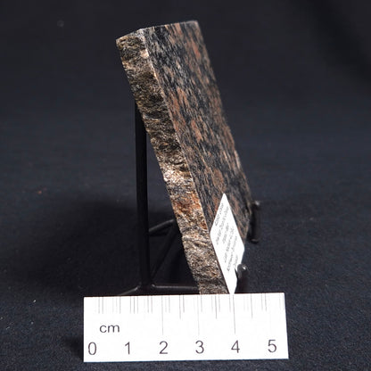 Acasta Gneiss "Oldest Rock" from Canada ZAG004