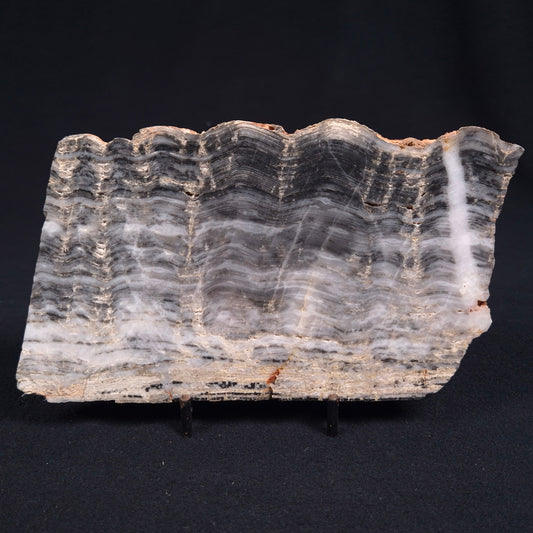 Stromatolite from the Mount McGrath Formation ZMG007