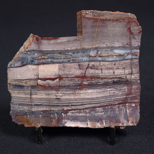 Stromatolite from the Jerrinah Formation ZJF014