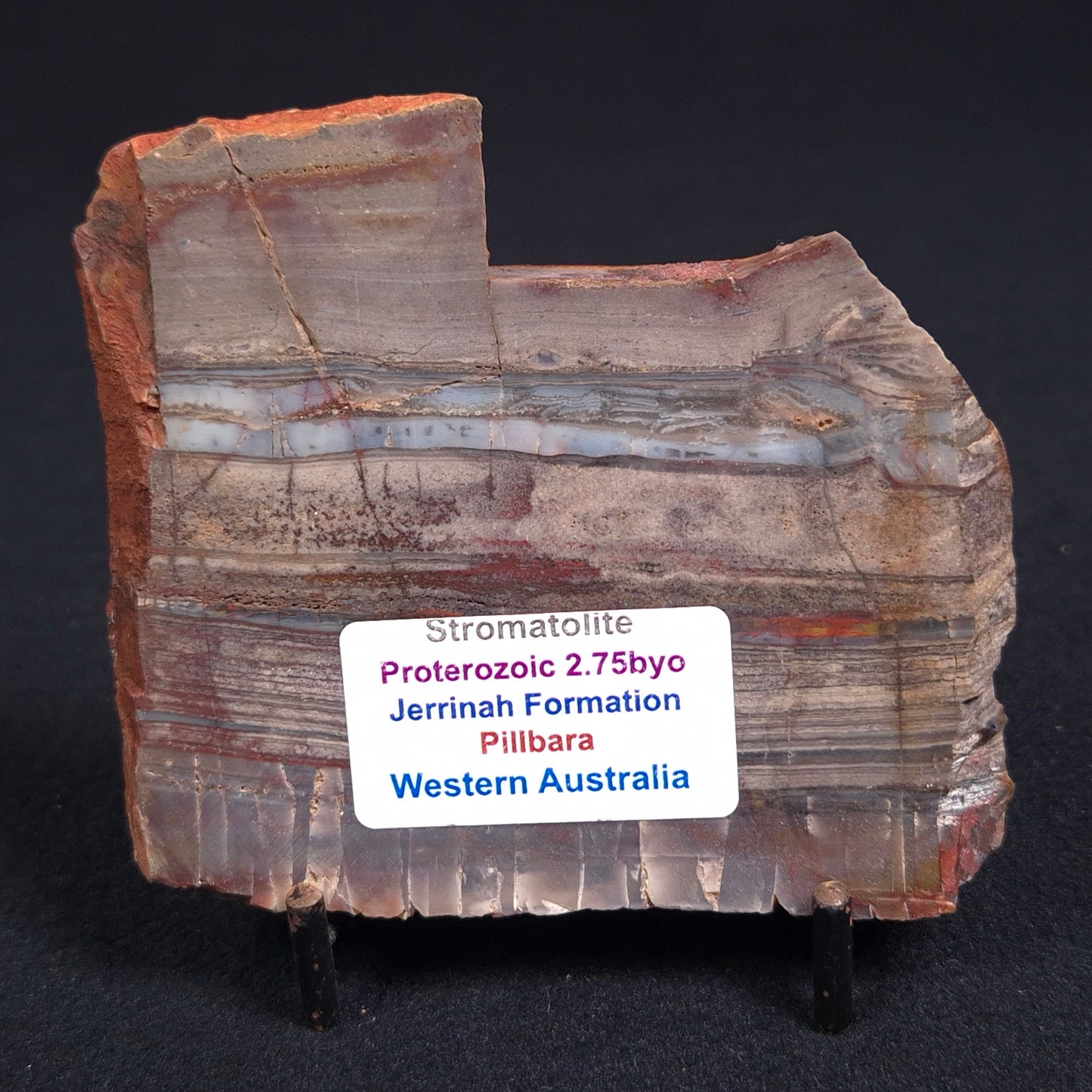 Stromatolite from the Jerrinah Formation ZJF014