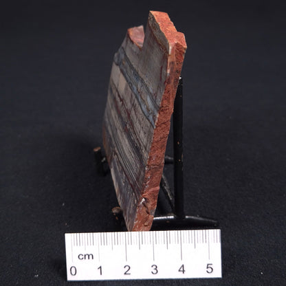 Stromatolite from the Jerrinah Formation ZJF014