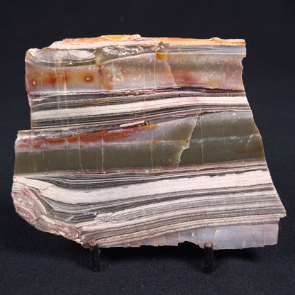 Stromatolite from the Jerrinah Formation ZJF016