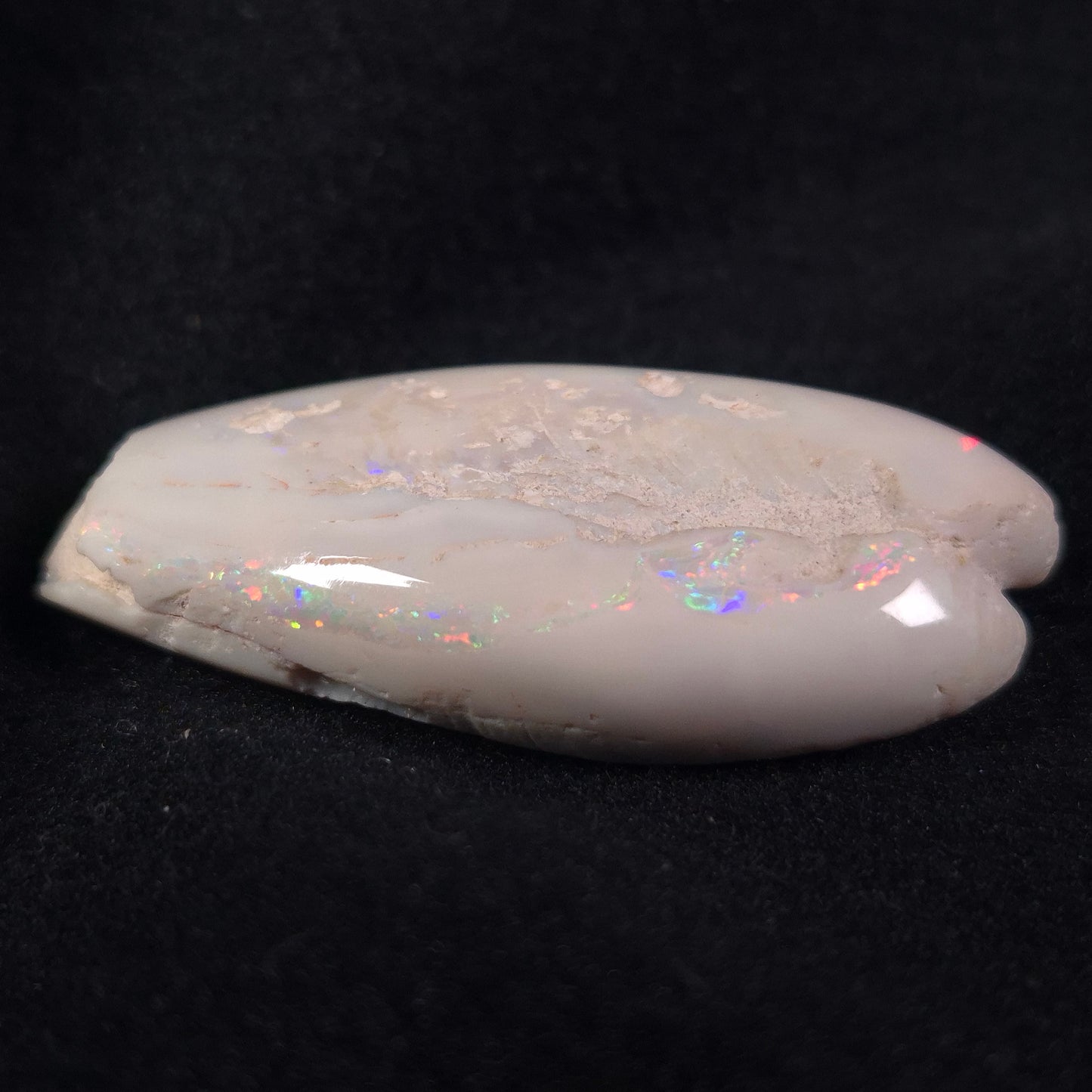 Opal Shell Eyrena sp. Coober Pedy YOS002