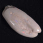 Opal Shell Eyrena sp. Coober Pedy YOS002