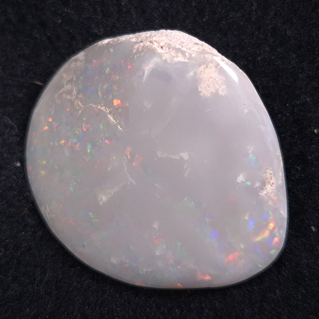 Opal Shell Cyrenopsis sp. Coober Pedy YOS003