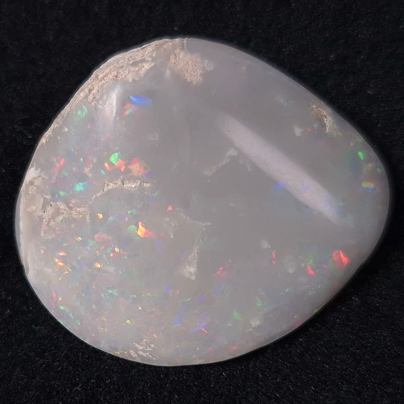 Opal Shell Cyrenopsis sp. Coober Pedy YOS003