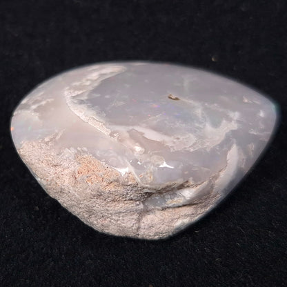 Opal Shell Cyrenopsis sp. Coober Pedy YOS003