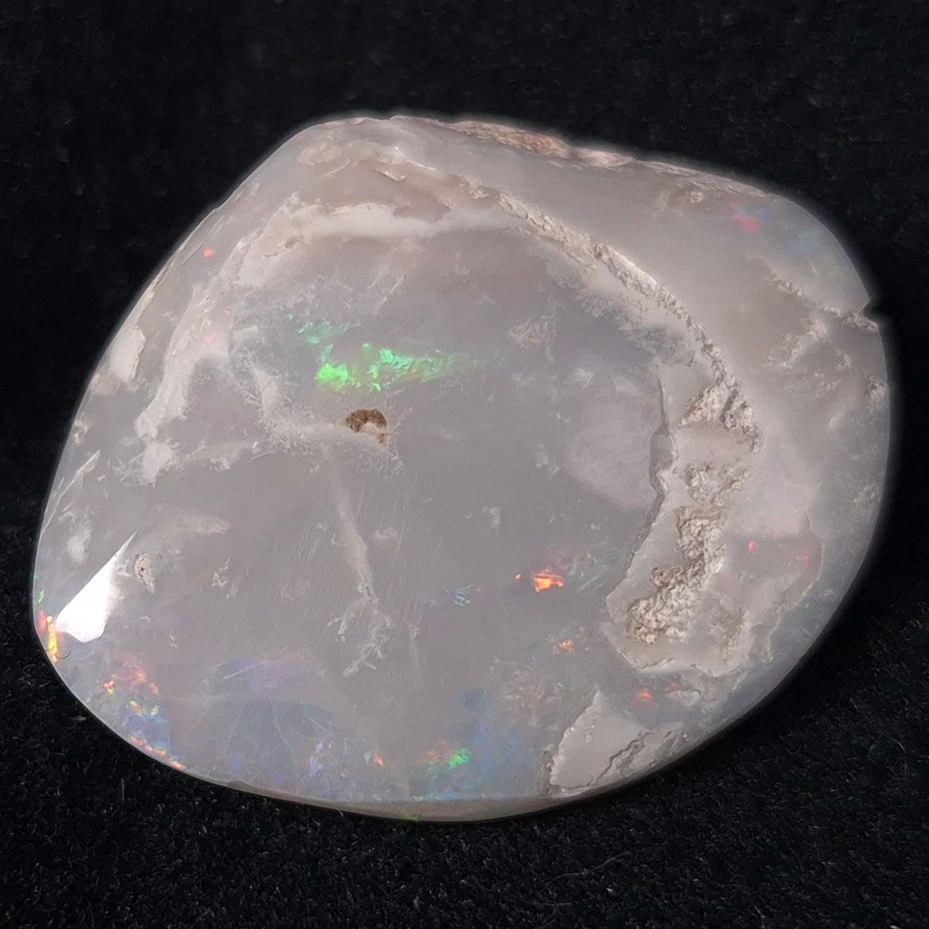 Opal Shell Cyrenopsis sp. Coober Pedy YOS003