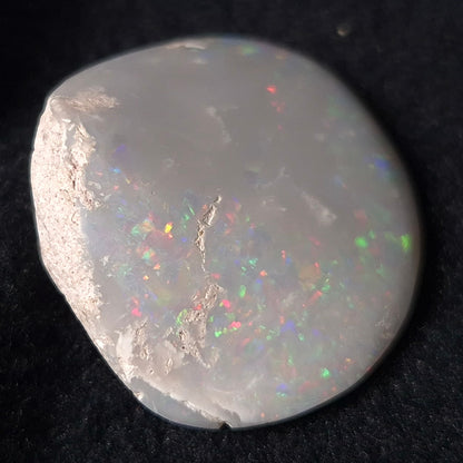 Opal Shell Cyrenopsis sp. Coober Pedy YOS003