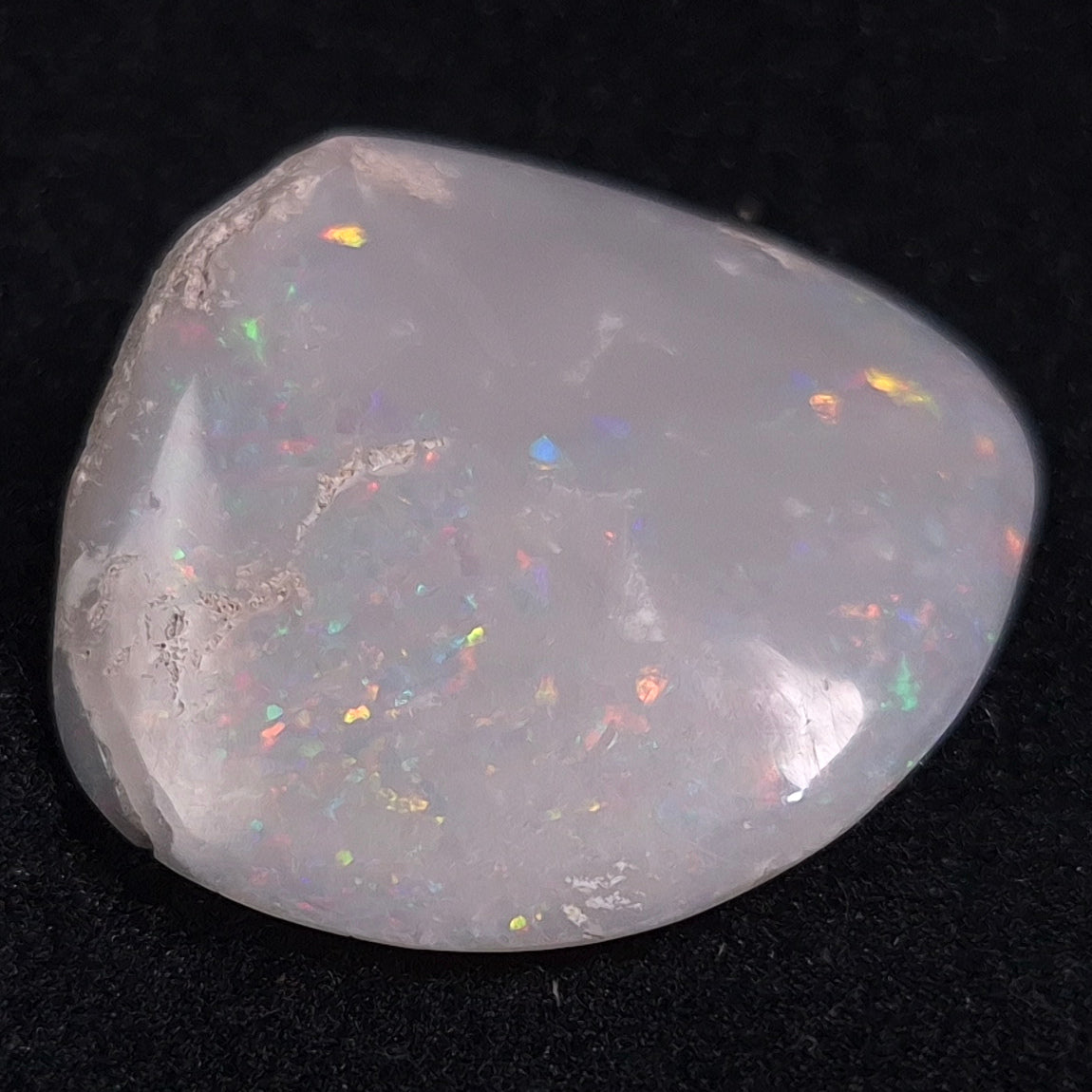 Opal Shell Cyrenopsis sp. Coober Pedy YOS003