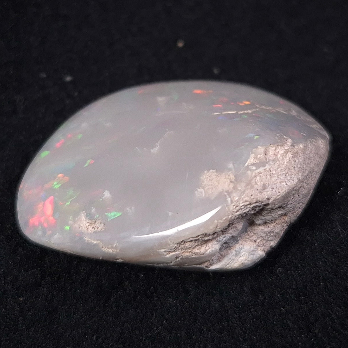 Opal Shell Cyrenopsis sp. Coober Pedy YOS003