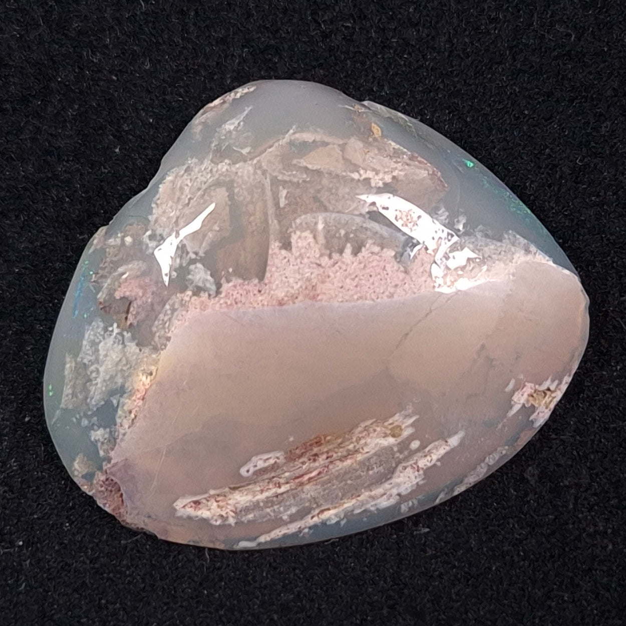 Opal Shell Cyrenopsis sp. Coober Pedy YOS004