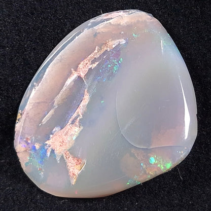 Opal Shell Cyrenopsis sp. Coober Pedy YOS004